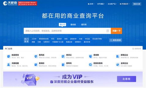 盤點2024年主流企業(yè)信息查詢軟件與信息技術咨詢服務